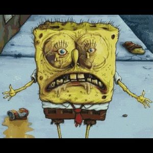 Meet your Posher, Joey